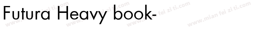 Futura Heavy book字体转换